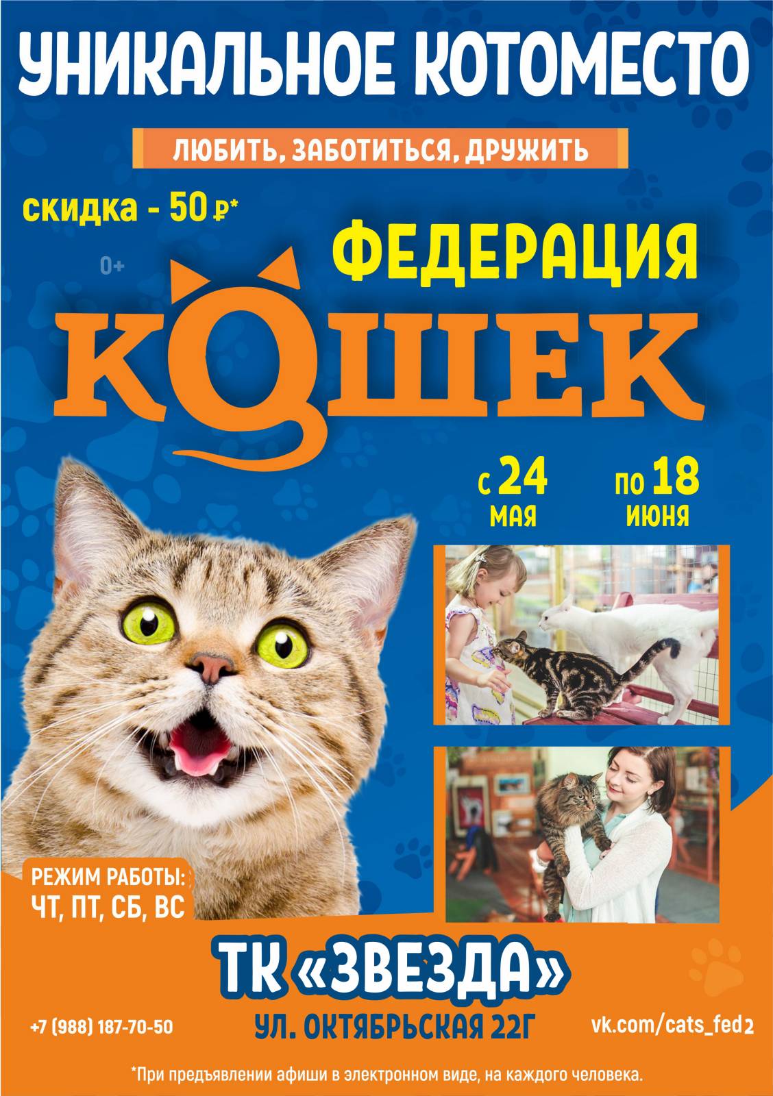 Выставка КОТОместо «Федерация кошек» ТК «Звезда».